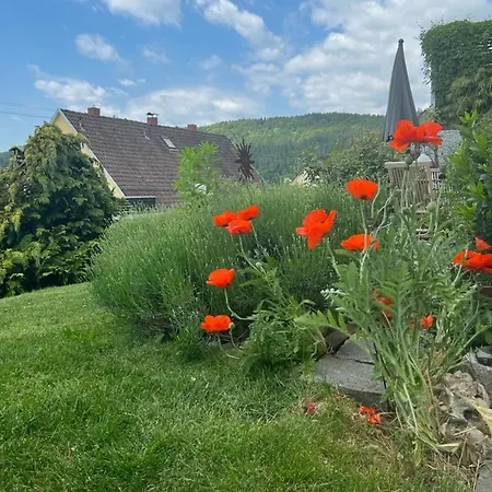 Jardin De Lavande Appartement Fridingen an der Donau