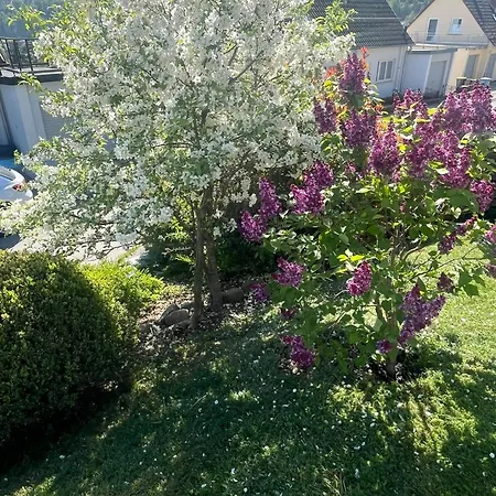 Lejlighed Jardin De Lavande *