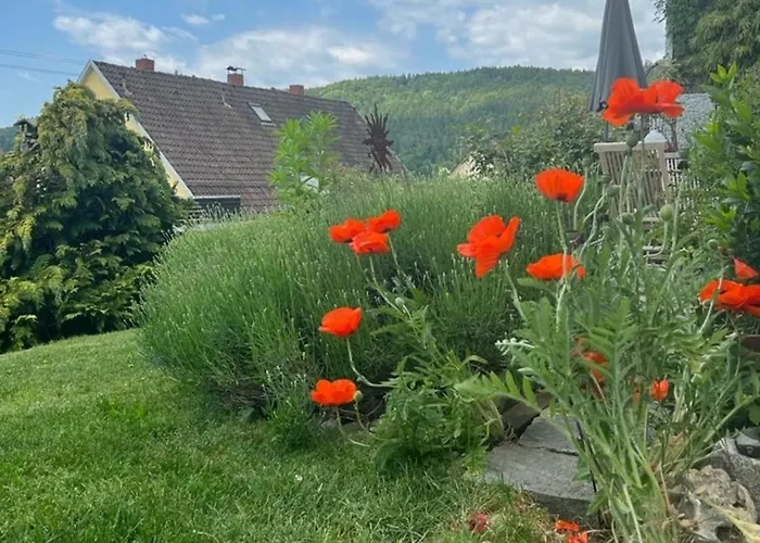 Jardin De Lavande Apartament Fridingen an der Donau